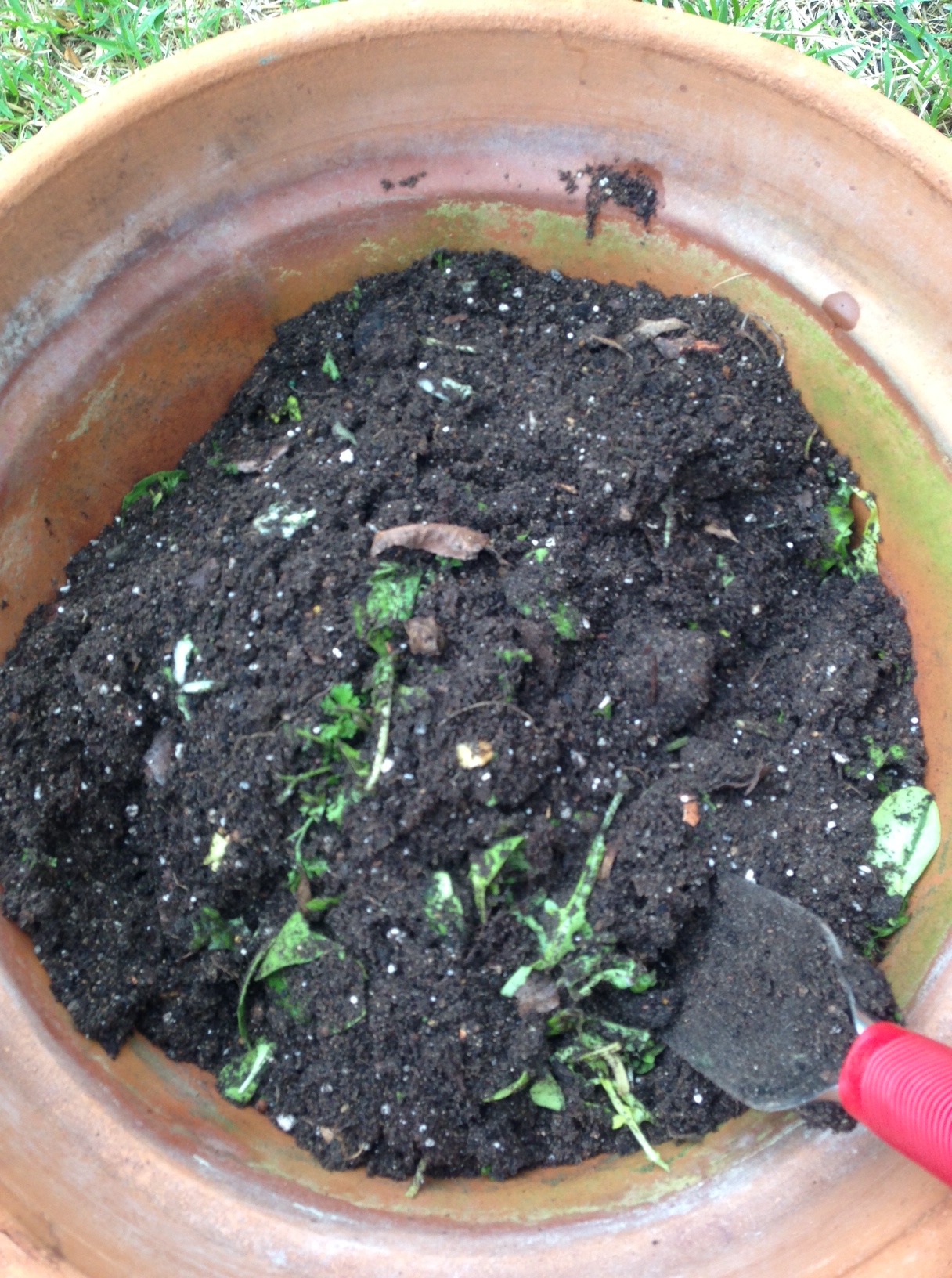 Composting In Clay Pot – From The Observatory